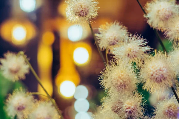 Lindas flores plásticas artificiais decoradas em cafés com bokeh — Fotografia de Stock