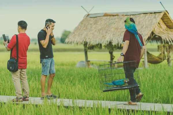 KANCHANABURI TAILANDIA - 18 DE NOVIEMBRE: Joven no identificado trae dos loros guacamayos para volar para hacer ejercicio — Foto de Stock