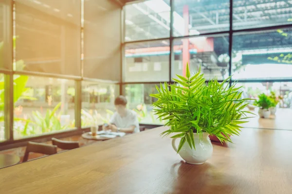Plantas artificiales o árbol de plástico en la mesa para la decoración y la bienvenida para los clientes en la cafetería. — Foto de Stock
