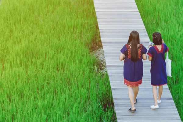 Rückansicht von zwei Freundinnen, die auf dem Bambusweg, der sich durch die Felder kreuzte, spazieren und fotografieren — Stockfoto