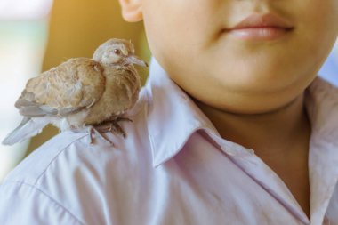 Okulda bir erkek öğrenci omzunda Kuş Perching.