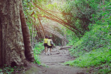 Mutluluğun arka planında aynı kıyafetleri giymiş iki kadın ormanda yürüyüş yolu boyunca yürüyorlar..