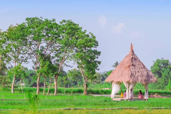 The resting huts constructed from bamboo and thatched roofs for relaxing in the rice fields.