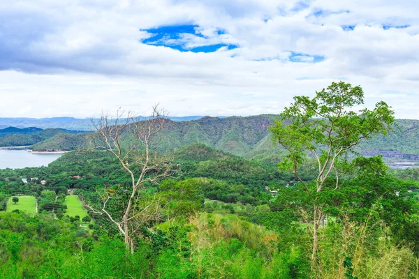 Árvore Seca Com Uma Bela Vista Panorâmica Natureza Com Grande — Fotografia de Stock