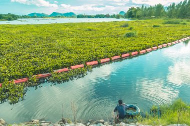 Elinde zıpkınla suya dalmaya hazırlanan su altı dalgıcı akşam balığını aramak için suyun altına bakıyor..