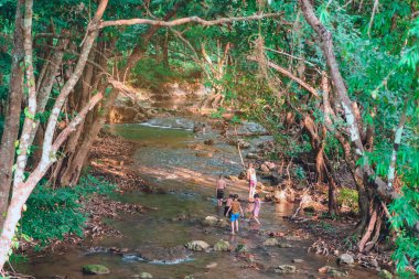 Bir grup çocuk, Tayland, Kanchanaburi 'deki Hin Baba kaplıcasında derenin doğasını keşfetmek için yürüyorlar..