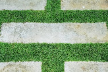 Yeşil çimlerle birlikte bahçeye doğru uzanan yürüyüş yolu örtüsü. Bahçe manzarası tasarımı konsepti, halk parkında bir sıra kare şeklindeki yürüyüş yolları..