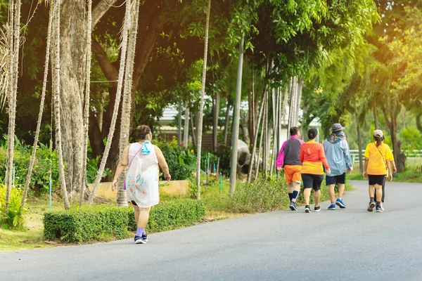 Back view of a Asian elderly woman wears earphone to listening song walking and jogging for good health in public park.Senior jogger in nature. Older female enjoying Peaceful nature.Healthcare concept