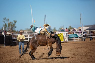Kovboy bir rodeoda eyersiz vahşi at yarışına katılır..
