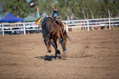 Kovboy onun trenden bucking ata eyersiz bronc olay bir ülke Rodeo düşen ve şapkasını kaybeder.