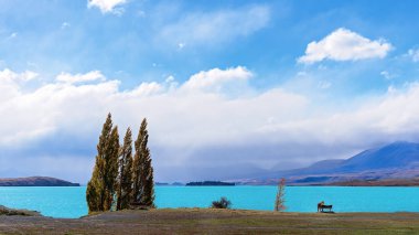 Bir çift Yeni Zelanda Lake Tekapo yanında bir bankta oturup ve parlak renkli mavi su hayranım