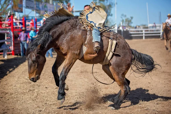 Kovboy bir rodeoda eyersiz vahşi at yarışına katılır.