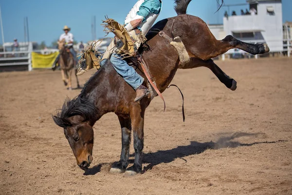 Cowboy Rider Bucking Häst Barbacka Bronc Händelse Ett Land Rodeo — Stockfoto