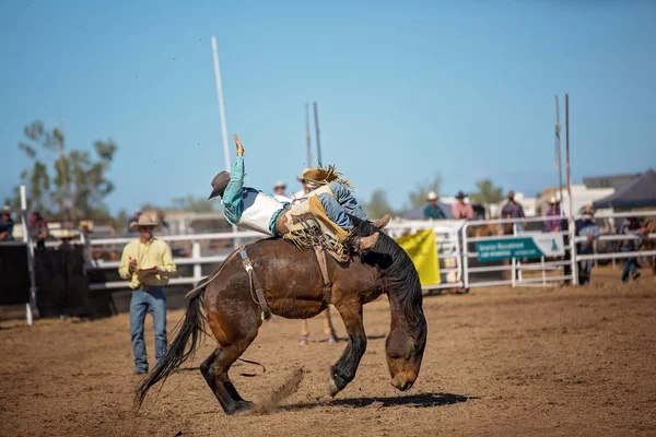 Kowboj Jeździ Koniu Bez Siodełka Brązie Wiejskim Rodeo — Zdjęcie stockowe