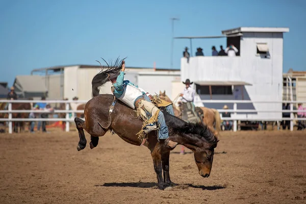 Cowboy Rider Bucking Häst Barbacka Bronc Händelse Ett Land Rodeo — Stockfoto