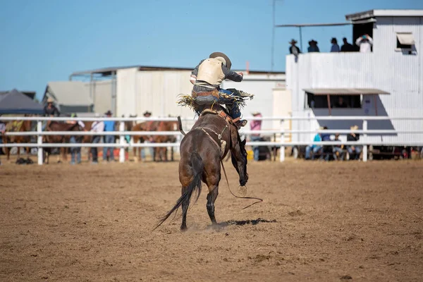 Kowboj Jeździ Koniu Bez Siodełka Brązie Wiejskim Rodeo — Zdjęcie stockowe