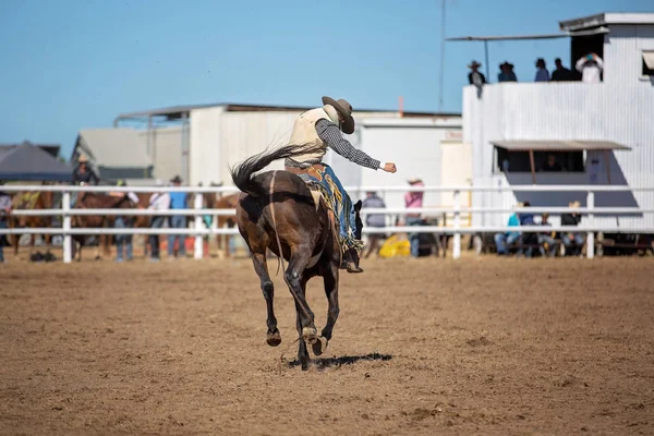 牛仔骑着一匹赤身裸体的骏马在一个国家的牛仔竞技会上表演 — 图库照片