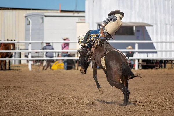 Kowboj Jeździ Koniu Bez Siodełka Brązie Wiejskim Rodeo — Zdjęcie stockowe