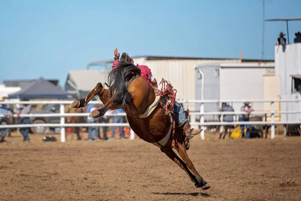 Cowboy Rides Bucking Horse Bareback Bronc Event Country Rodeo — Stock Photo, Image