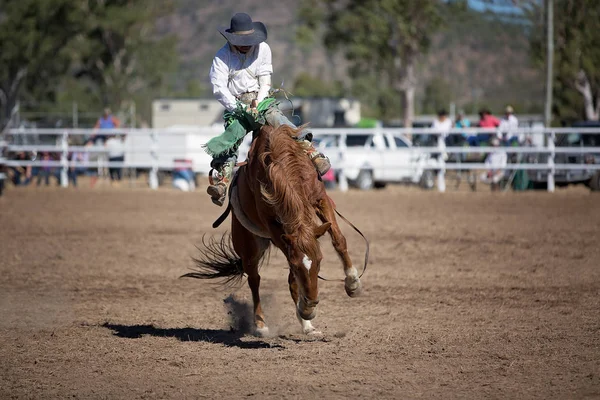 Cowboy rides a bucking horse in bareback bronc event at a country rodeo.