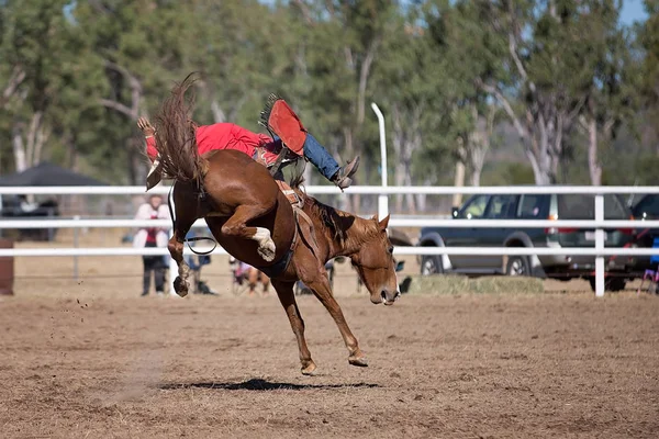 Cowboy rides a bucking horse in bareback bronc event at a country rodeo.