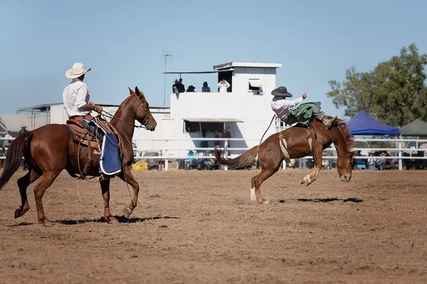 Kovboy bir rodeoda eyersiz vahşi at yarışına katılır..