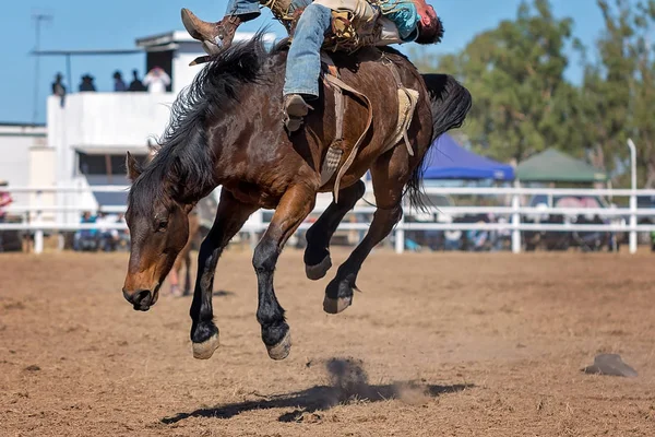 Kovboy Bir Rodeoda Eyersiz Vahşi Yarışına Katılır — Stok fotoğraf