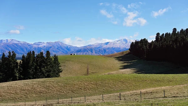 Tepeler ve Yeni Zelanda çam ormanları kar bir arka plan ile dağ aralıkları şapkalı