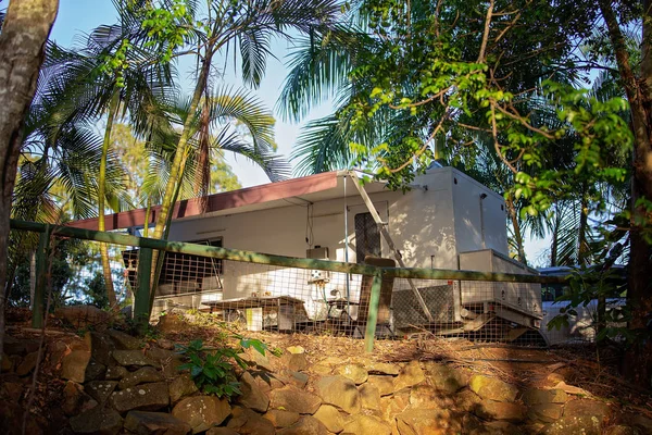 Bushland bir karavanda kamp