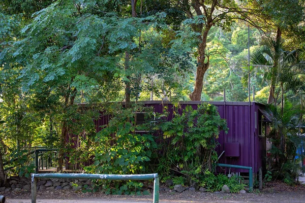 Velho Recipiente Pintado Púrpura Transformado Uma Cabana Férias Arbusto Cape — Fotografia de Stock