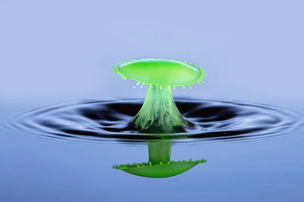 Green water drop collision in shape of an umbrella on a blue background with a water reflection. Liquid drop art, water drop photography