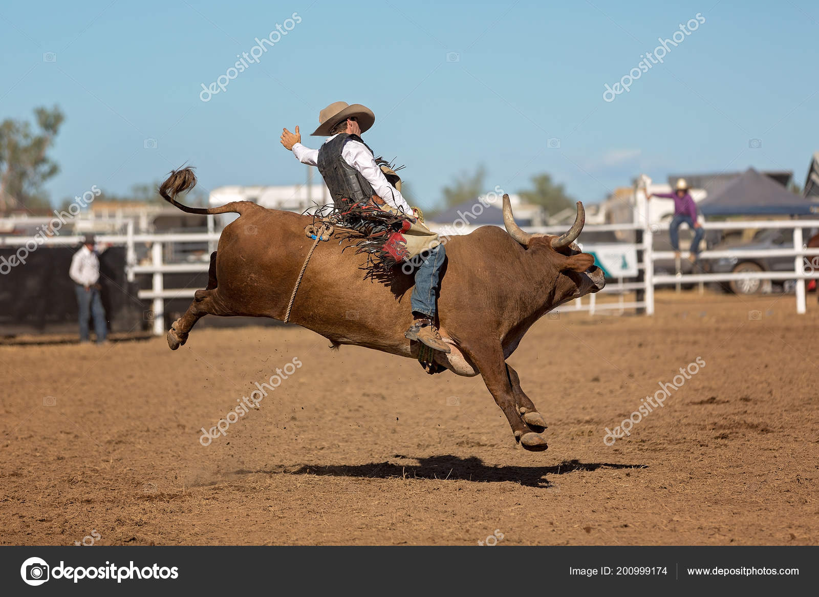 Cowboy Competing Bull Riding Event Country Rodeo Stock Photo by