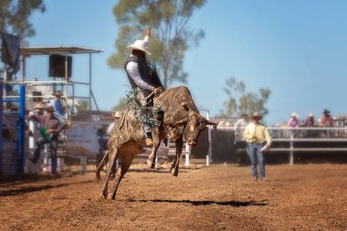 Rekabet bir taşra ülke Rodeo sürme boğa bir cowboy
