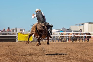 Boğa binme olay bir ülke Rodeo yarışan bir kovboy
