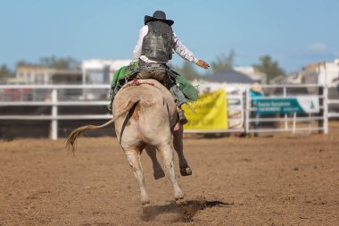 Bir boğa binme olay bir ülke Rodeo yarışan bir kovboy