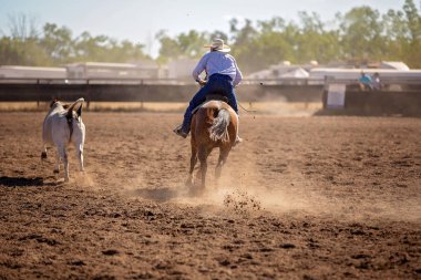 Kovboy ülke Rodeo bir campdraf olay rekabet. Campdrafting bir at ve binici çalışma sığır içeren benzersiz bir Avustralya spor olduğunu.