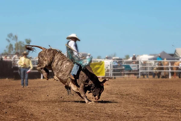 Bir boğa binme olay bir ülke Rodeo yarışan bir kovboy