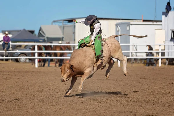 Vaquero Compitiendo Competencia Equitación Toros Rodeo Campestre —  Fotos de Stock