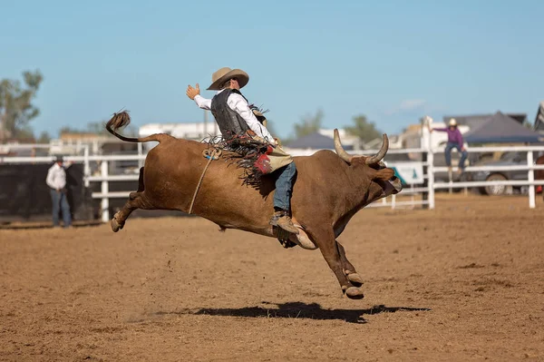 Cow Boy Participant Événement Équitation Taureau Lors Rodéo Campagne — Photo