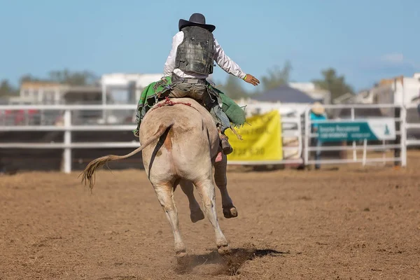 Bir boğa binme olay bir ülke Rodeo yarışan bir kovboy