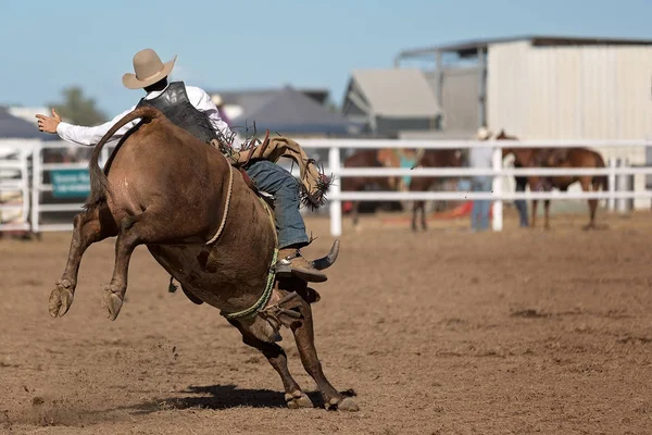 Cow Boy Participant Rodéo Champêtre Dos Taureau — Photo