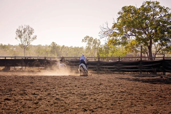 Kovboy ülke rodeo, campdrafting olay bir at ve binici çalışma sığır içeren benzersiz bir Avustralya spor sürme.