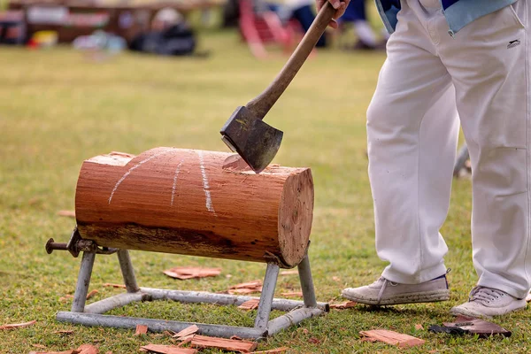 Ahşap helikopter olay bir ülkenin yerel Show'da rekabet