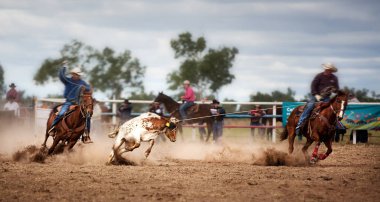 Bir ülke Rodeo bir Buzağı Kementleme at sırtında iki kovboy
