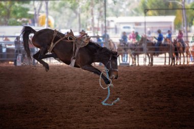 Binicisiz bucking bronco at kapalı ülke Rodeo