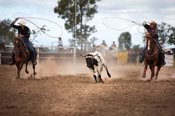 Dva Kovbojové Koni Vyrovnat Tele Zemi Rodeo — Stock fotografie