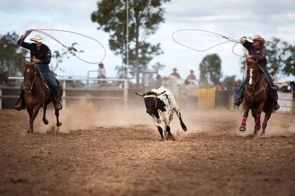Sırtında bir ülke rodeo bir buzağı başa çıkma iki kovboy