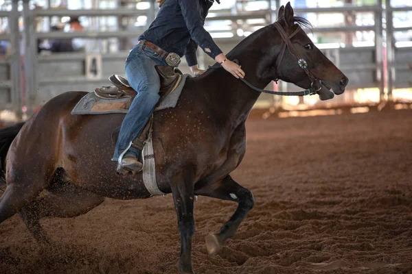 Närbild Hästen Och Rider Fat Racing Land Rodeo Australien — Stockfoto