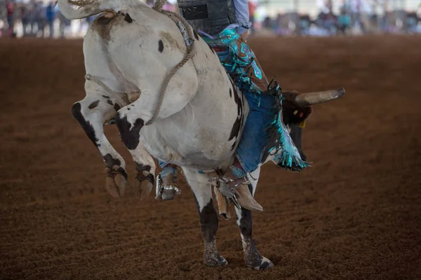 Färgglada Redskap För Ung Cowboy Ridning Kalv Vid Ett Evenemang — Stockfoto