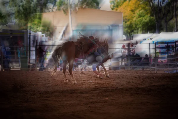 動きを示す国の屋内ロデオで馬を座屈 — ストック写真